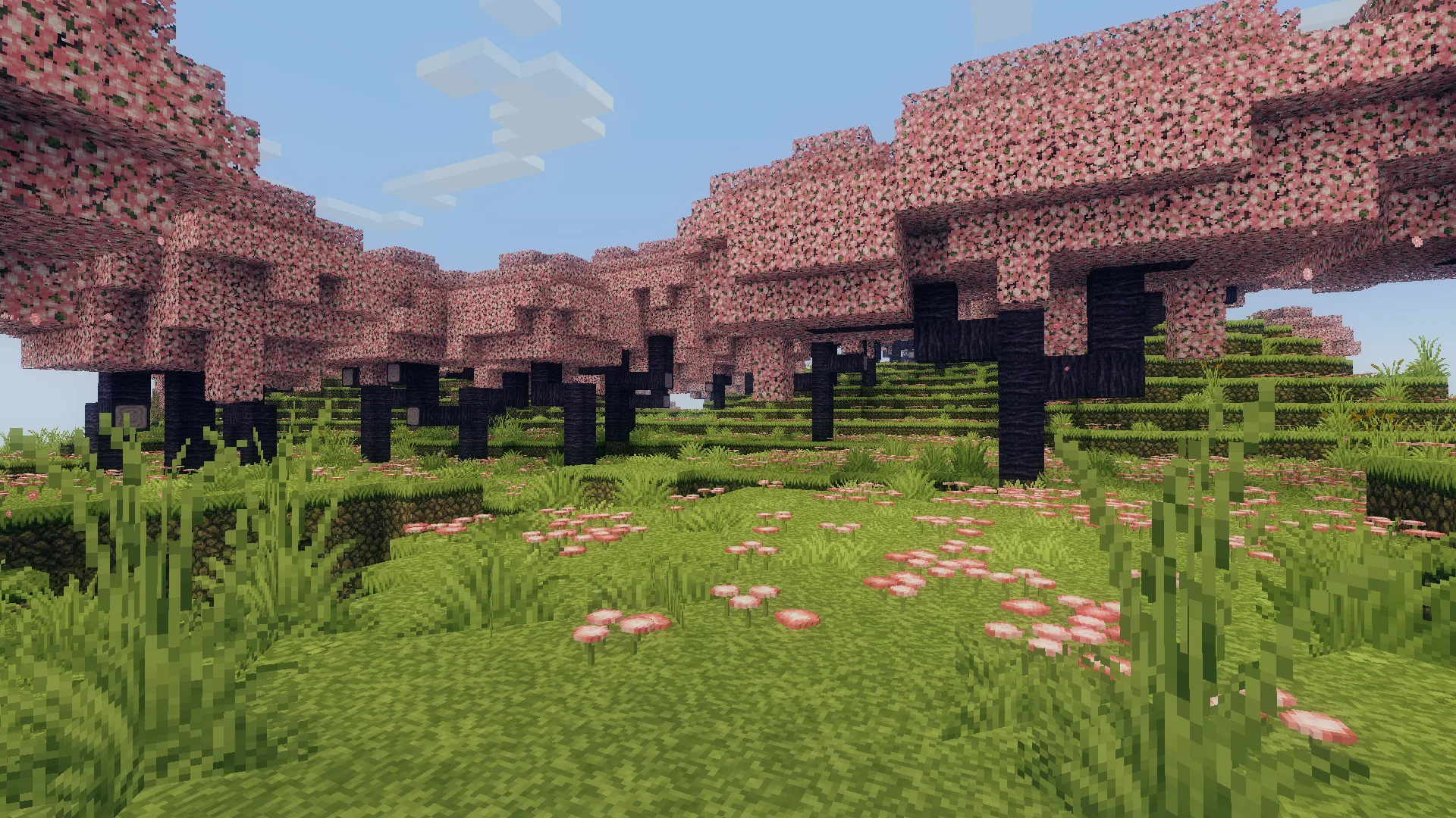 Изображение 4 шейдера Cinematic Color Correction