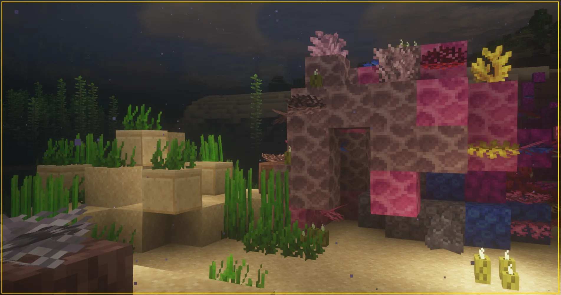 Colorful Coral