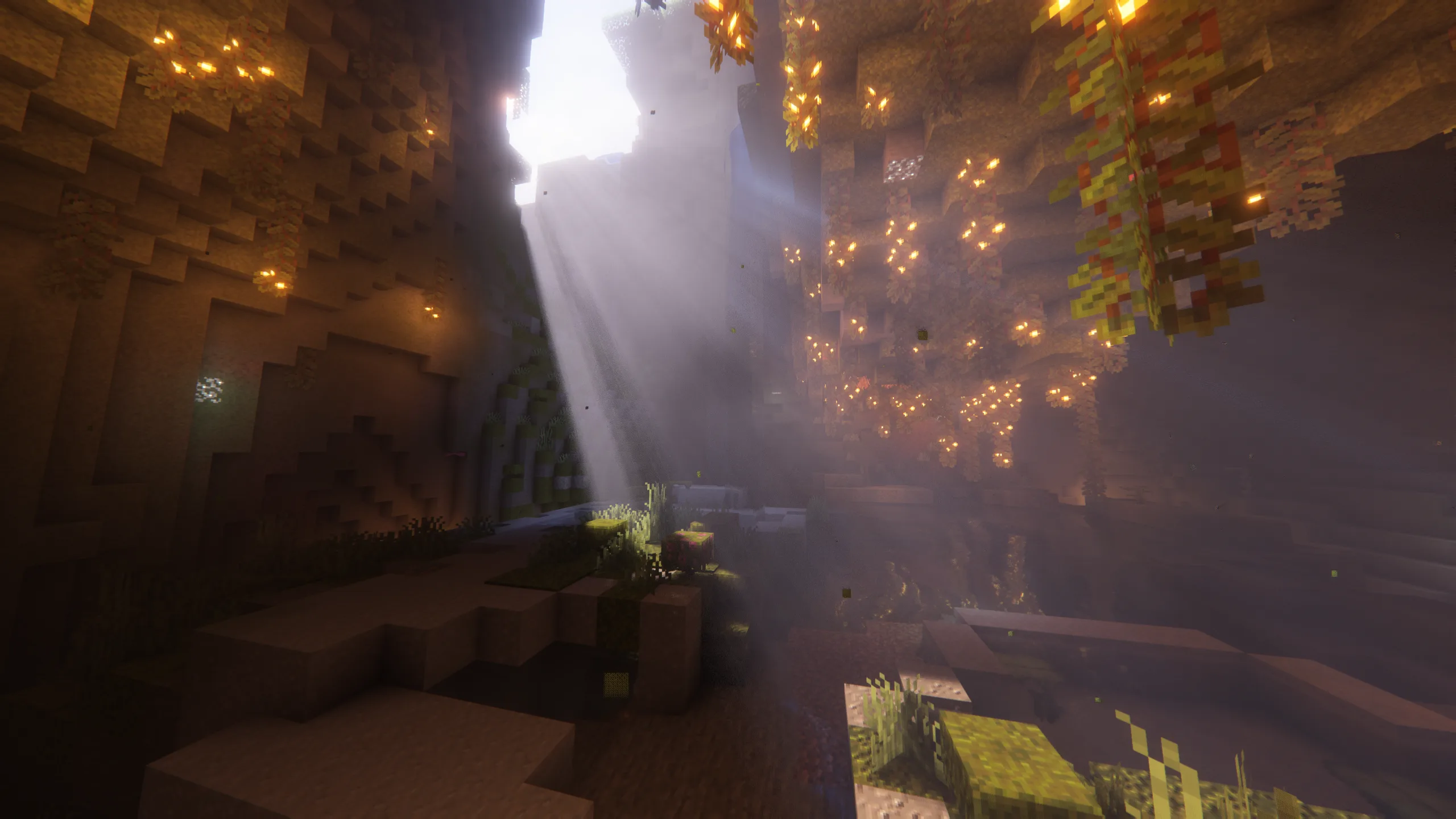 Изображение 3 шейдера Complementary Shaders - Reimagined