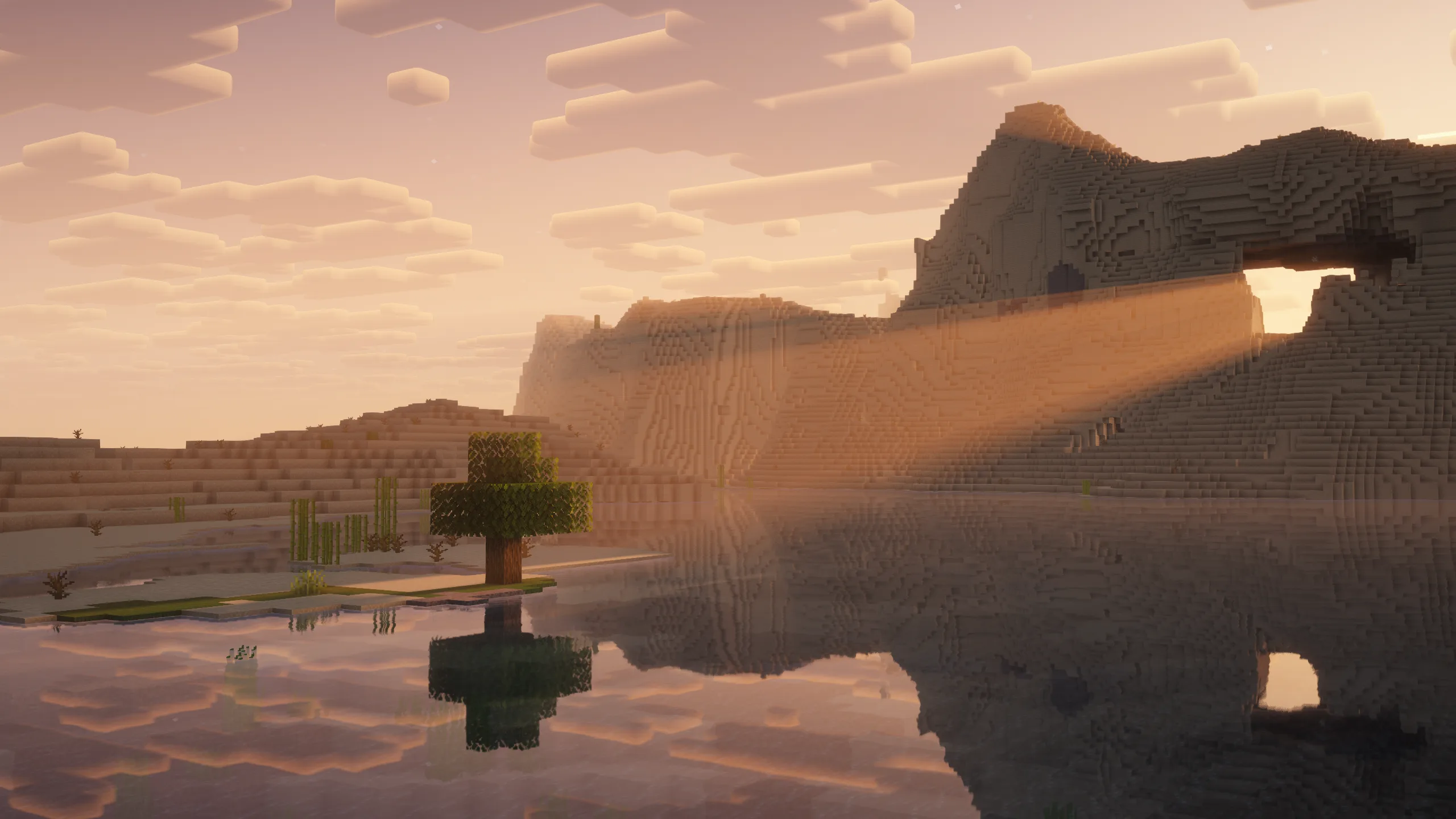 Изображение 6 шейдера Complementary Shaders - Reimagined