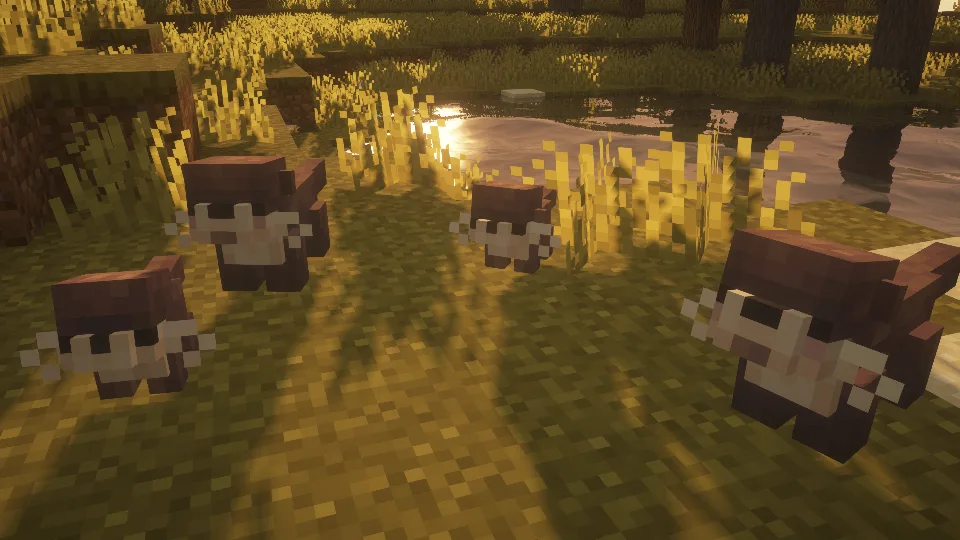 Critters and Companions