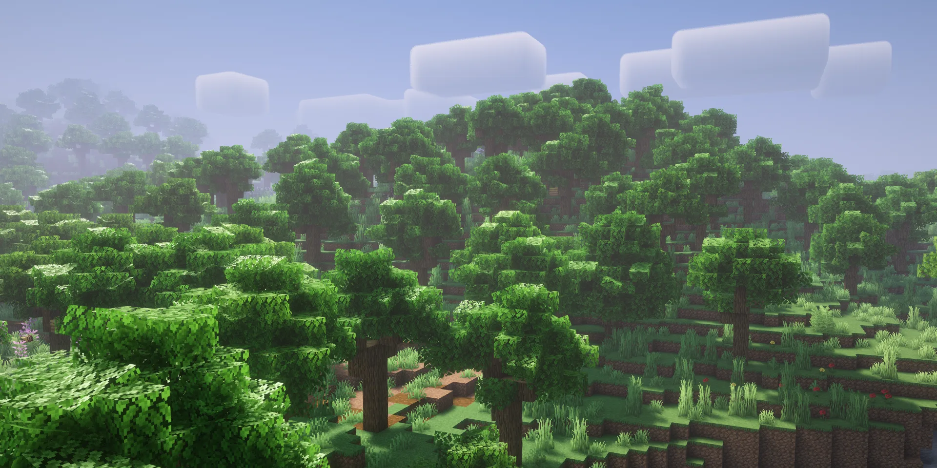 Cubic Leaves