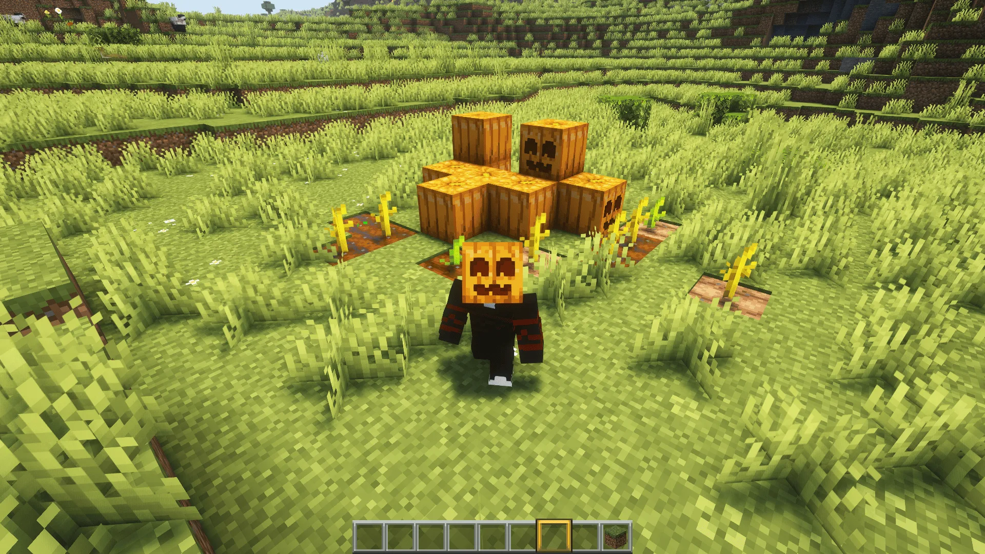 Изображение 2 ресурспака Cute Pumpkin