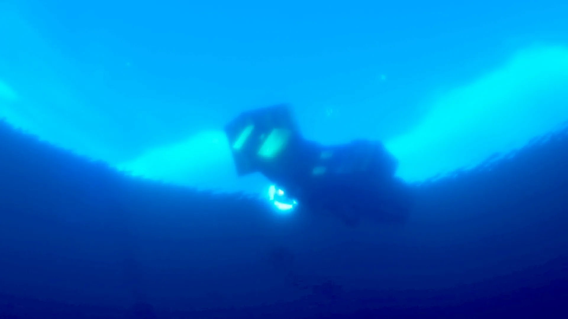 Detailed Animations Alpha