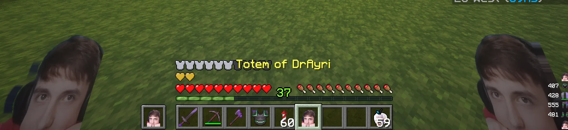 DrAyri Totem (DrDonut)