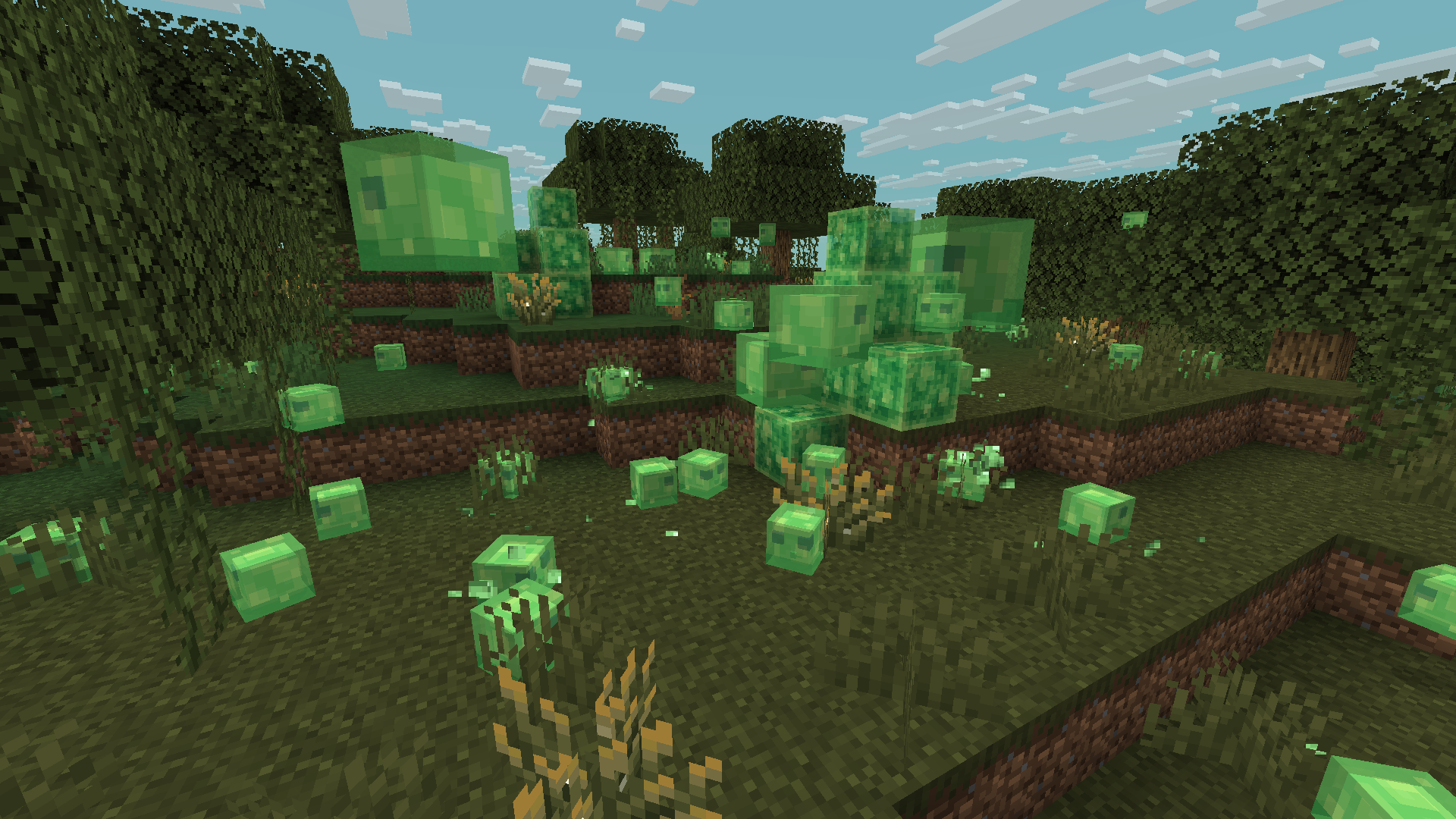 Изображение 1 ресурспака Drodi's Slimes