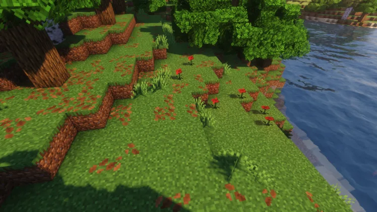 dronkos enhanced leaf litter