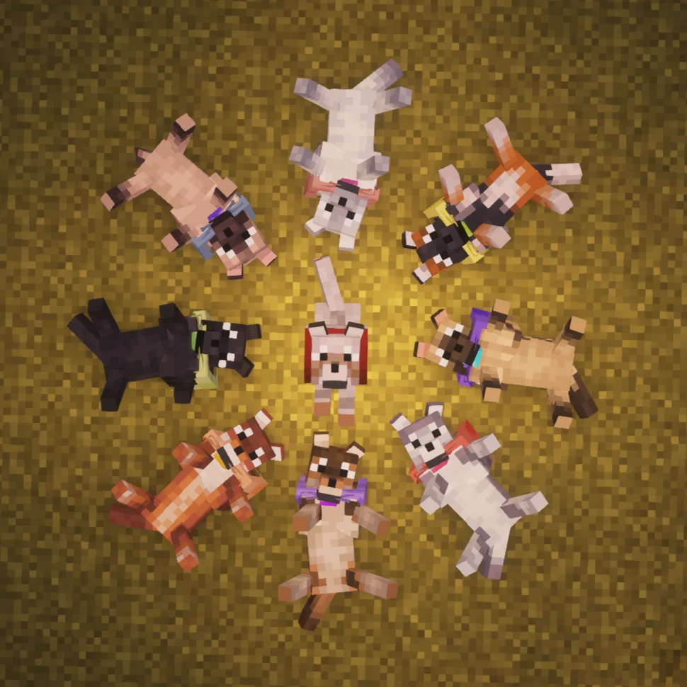 Doggy Talents Next X New Wolves