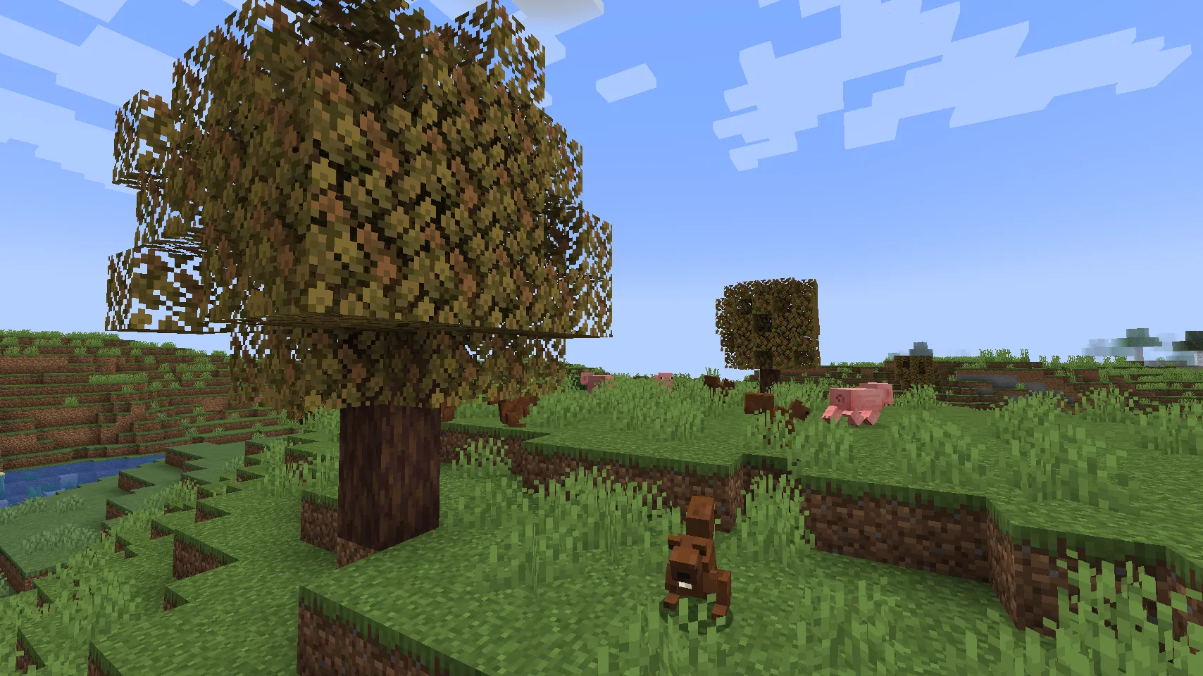 Изображение 2 мода Ecologics