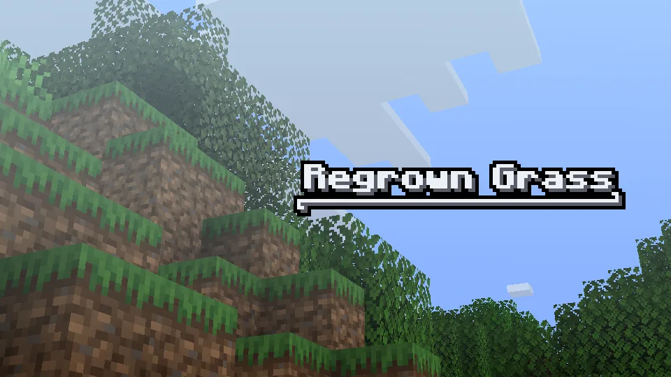 Regrown Grass