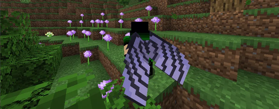 Изображение 2 ресурспака Elytra End