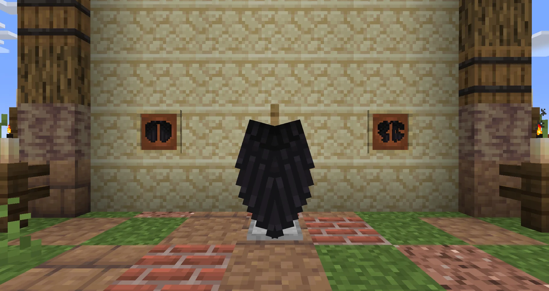 Elytra to Crow Wings