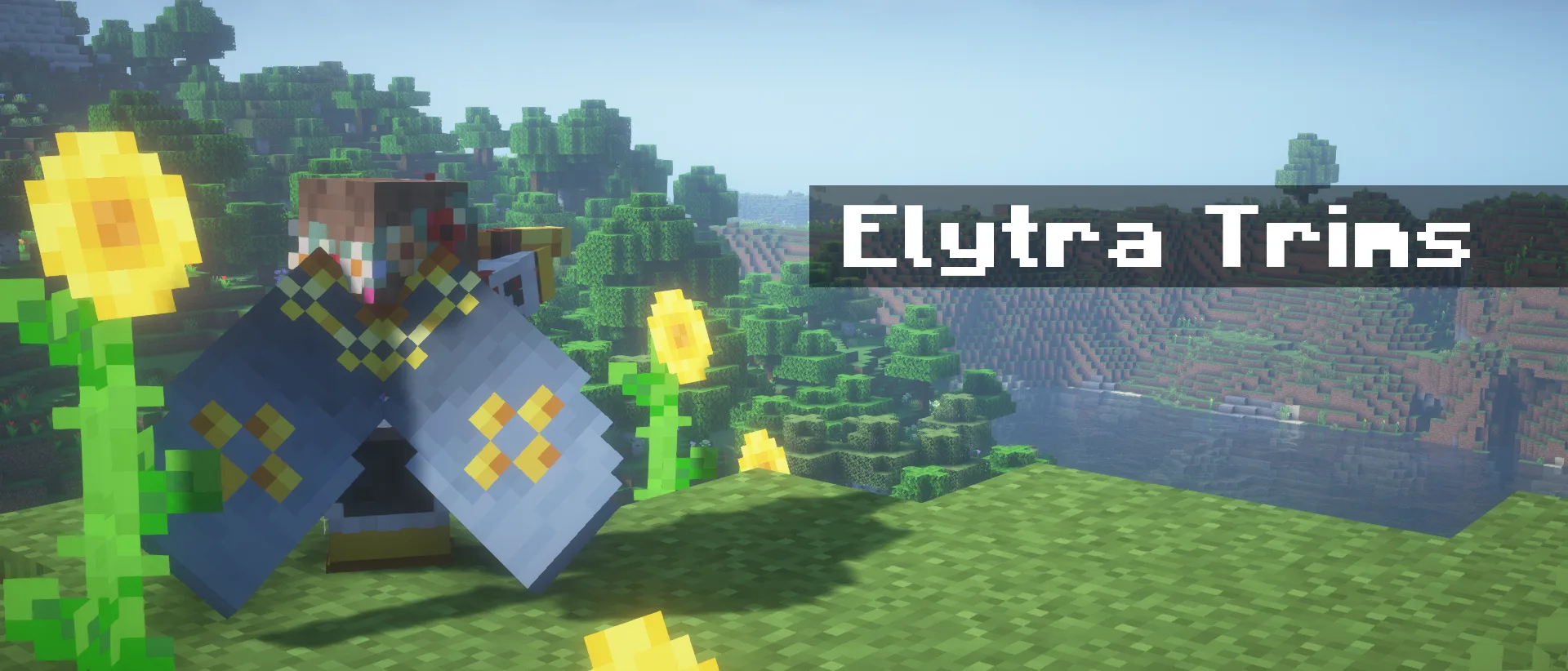 Elytra Trims