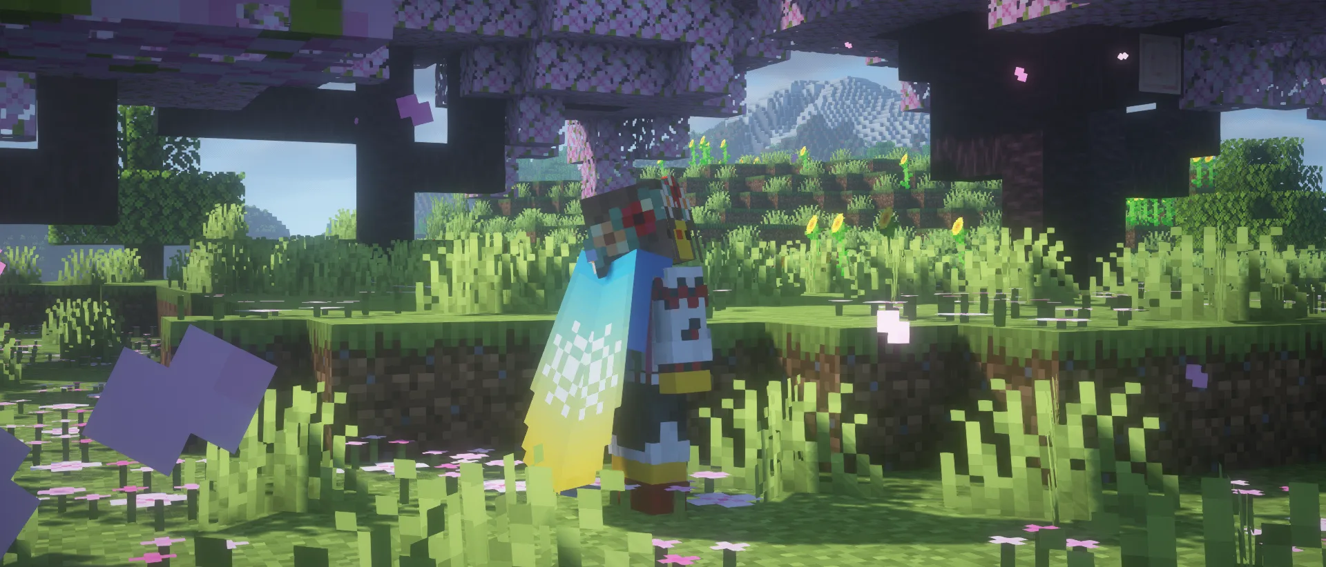 Изображение 6 мода Elytra Trims