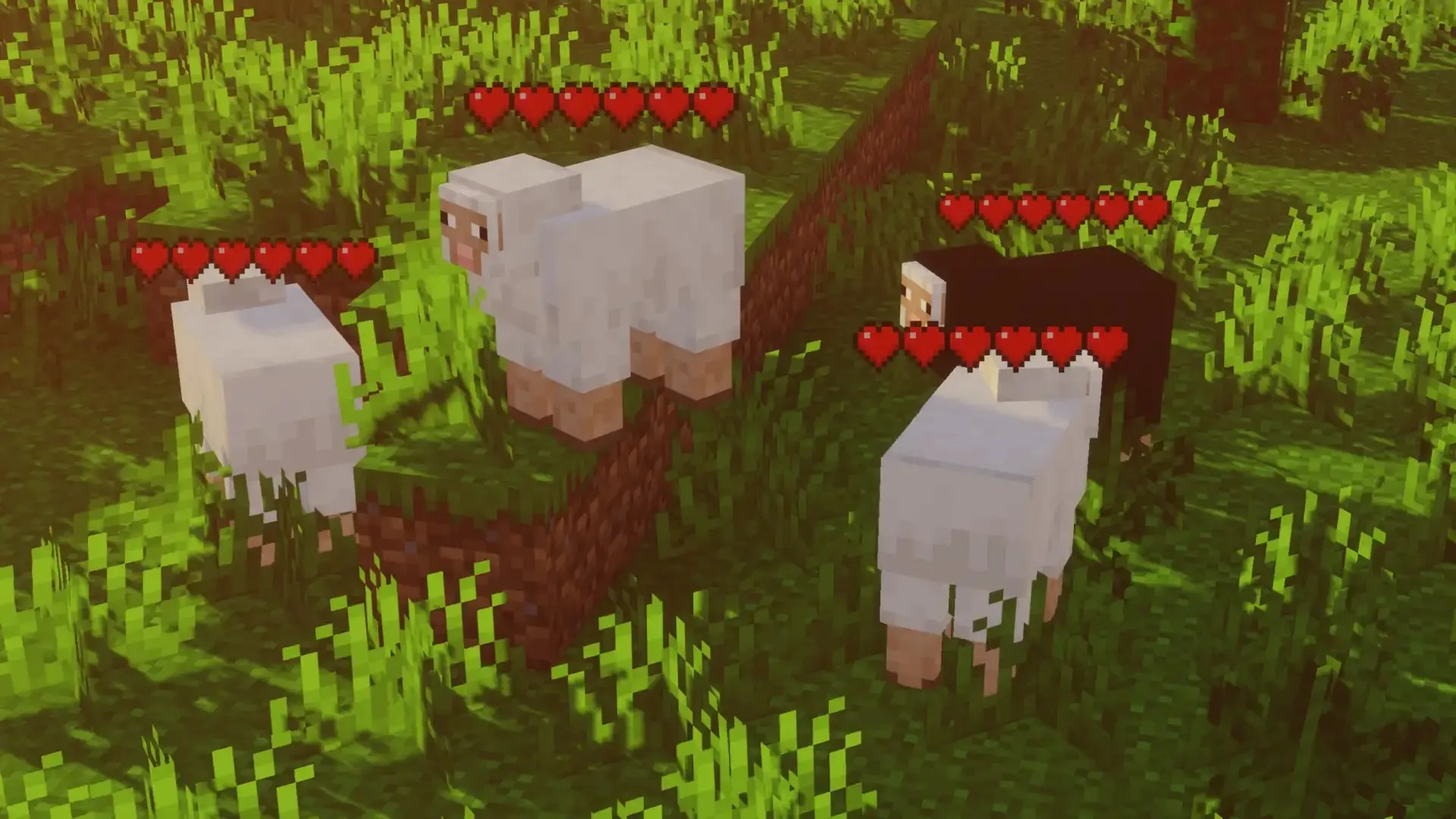 Изображение 2 ресурспака Entity Healthbars: Hearts