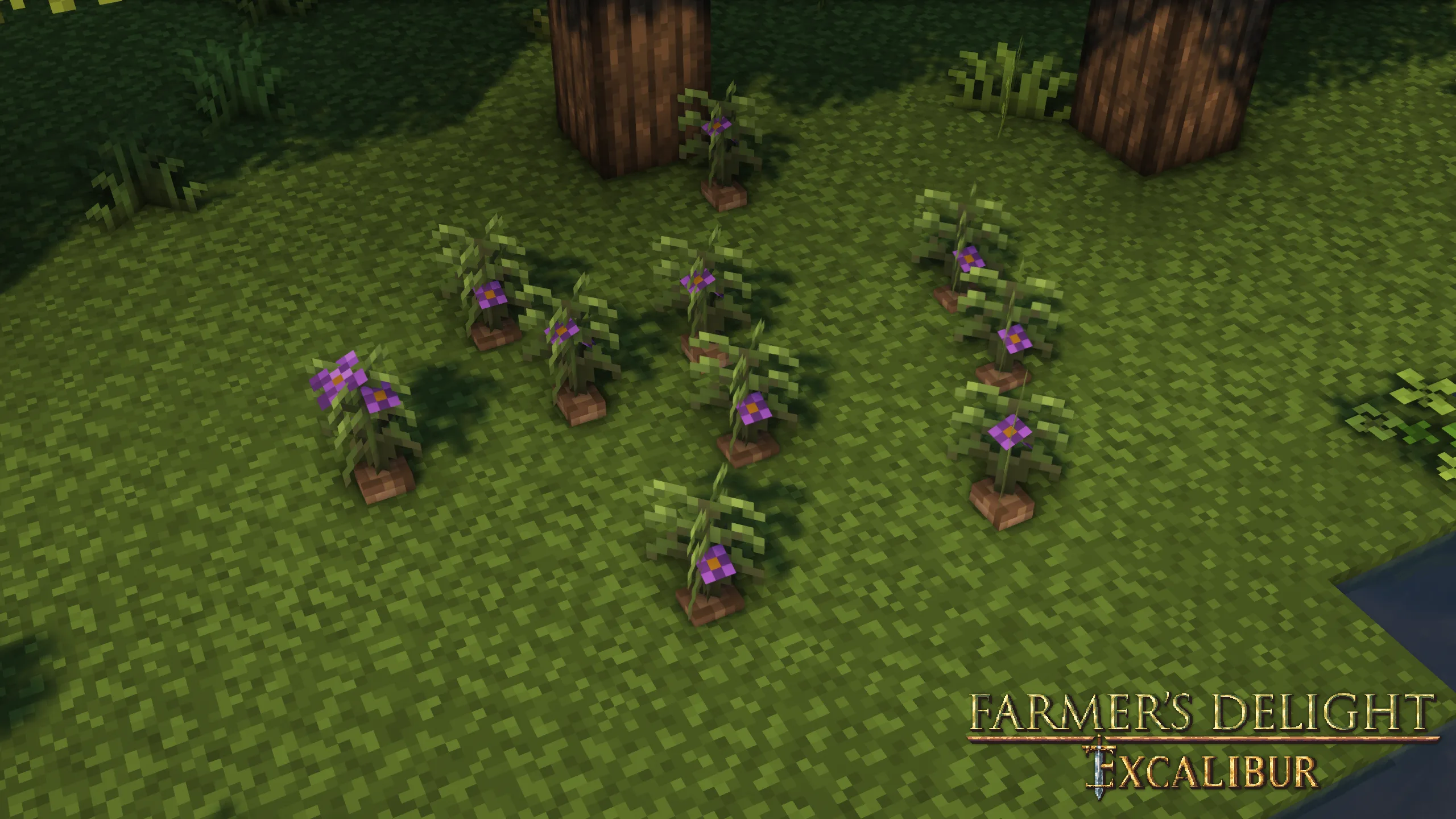 Изображение 3 ресурспака Excalibur | Farmer's Delight Support