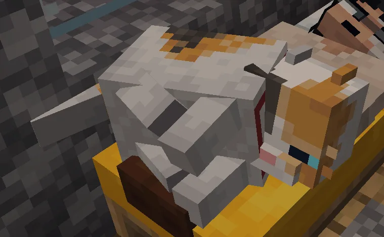 Изображение 3 ресурспака Fat Cat