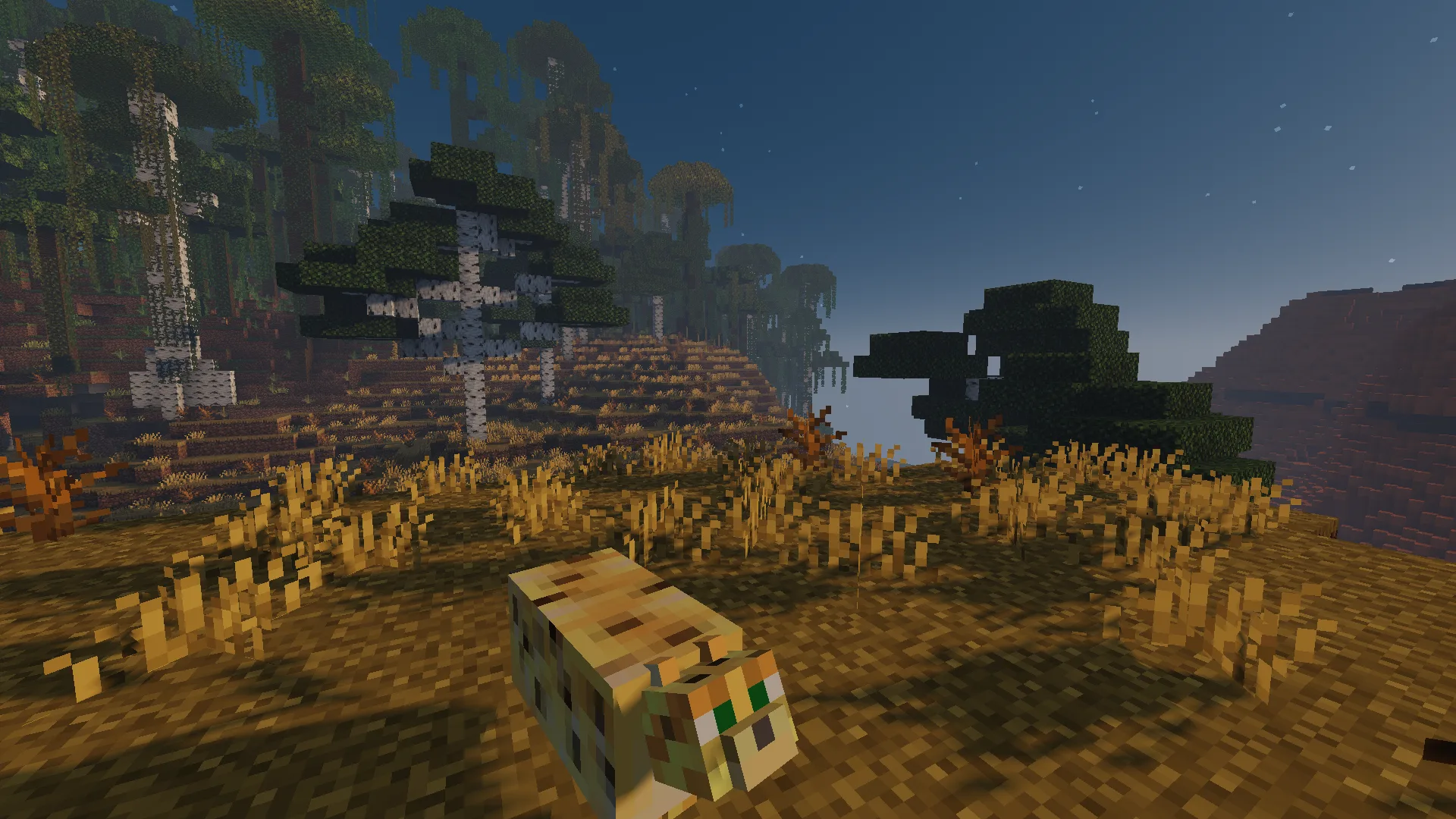 Изображение 2 ресурспака Fat Cats