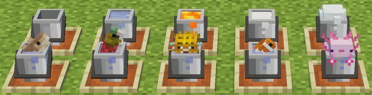 Findrek's 3D Buckets and Fish