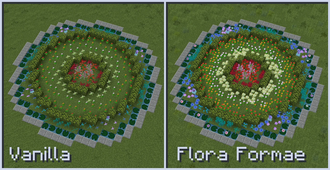 Flora Formae