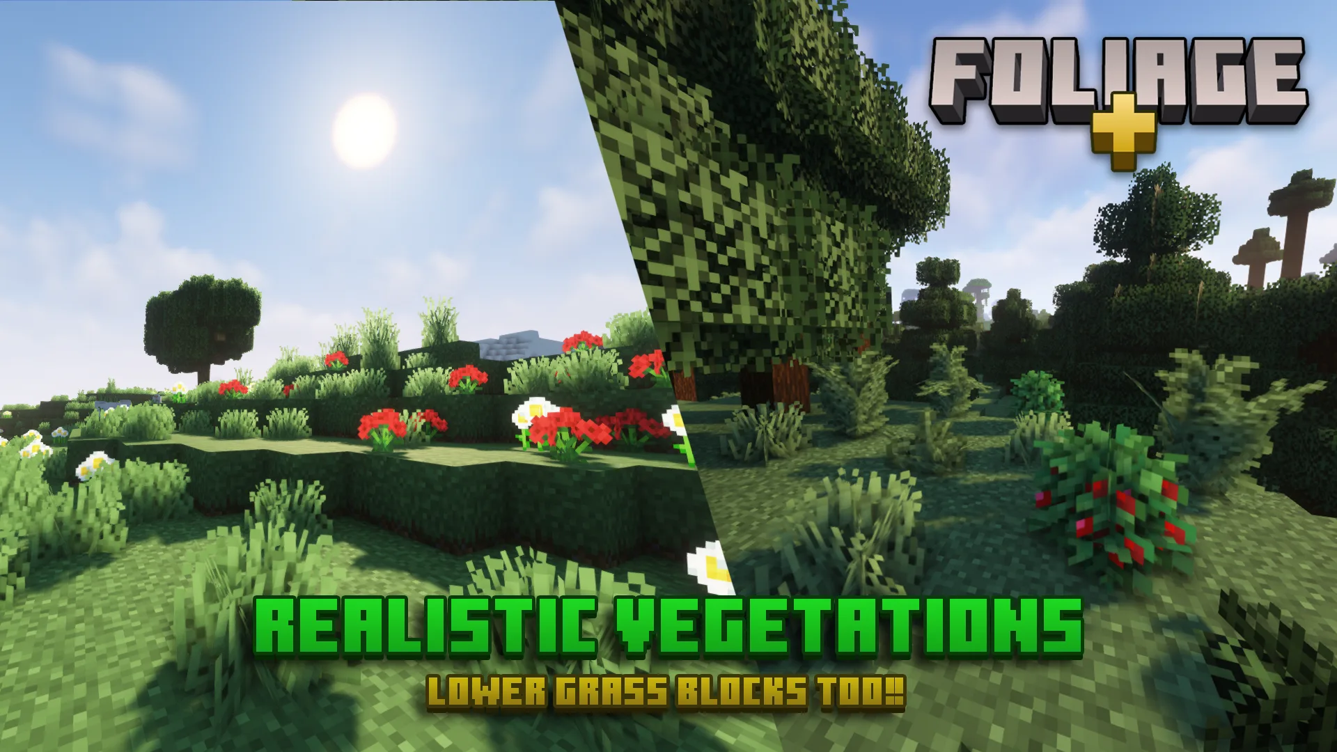 Foliage+