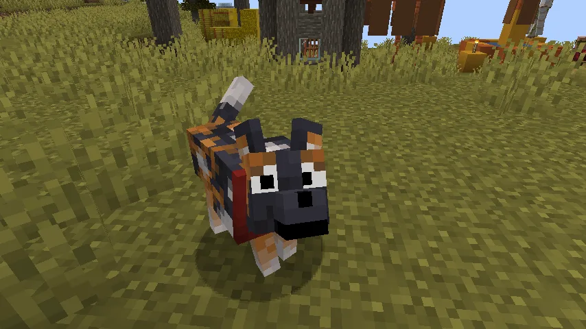 Fresh Animations Patch - Boy Why You So Ears