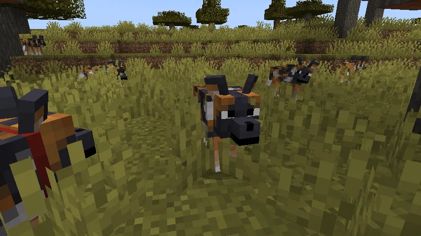 Изображение 4 ресурспака Fresh Animations Patch - Boy Why You So Ears