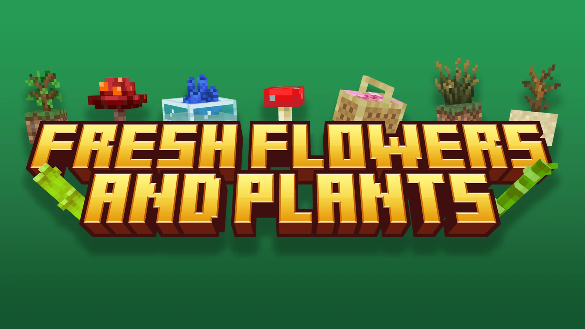 Fresh Flowers and Plants