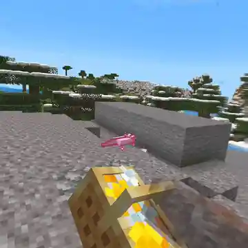 Fresh Flowers and Plants VR