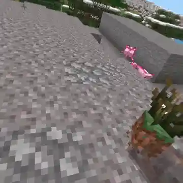 Изображение 2 ресурспака Fresh Flowers and Plants VR