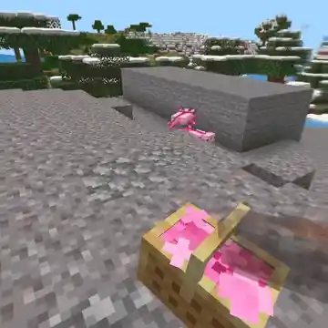 Изображение 4 ресурспака Fresh Flowers and Plants VR