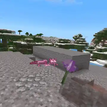 Изображение 5 ресурспака Fresh Flowers and Plants VR