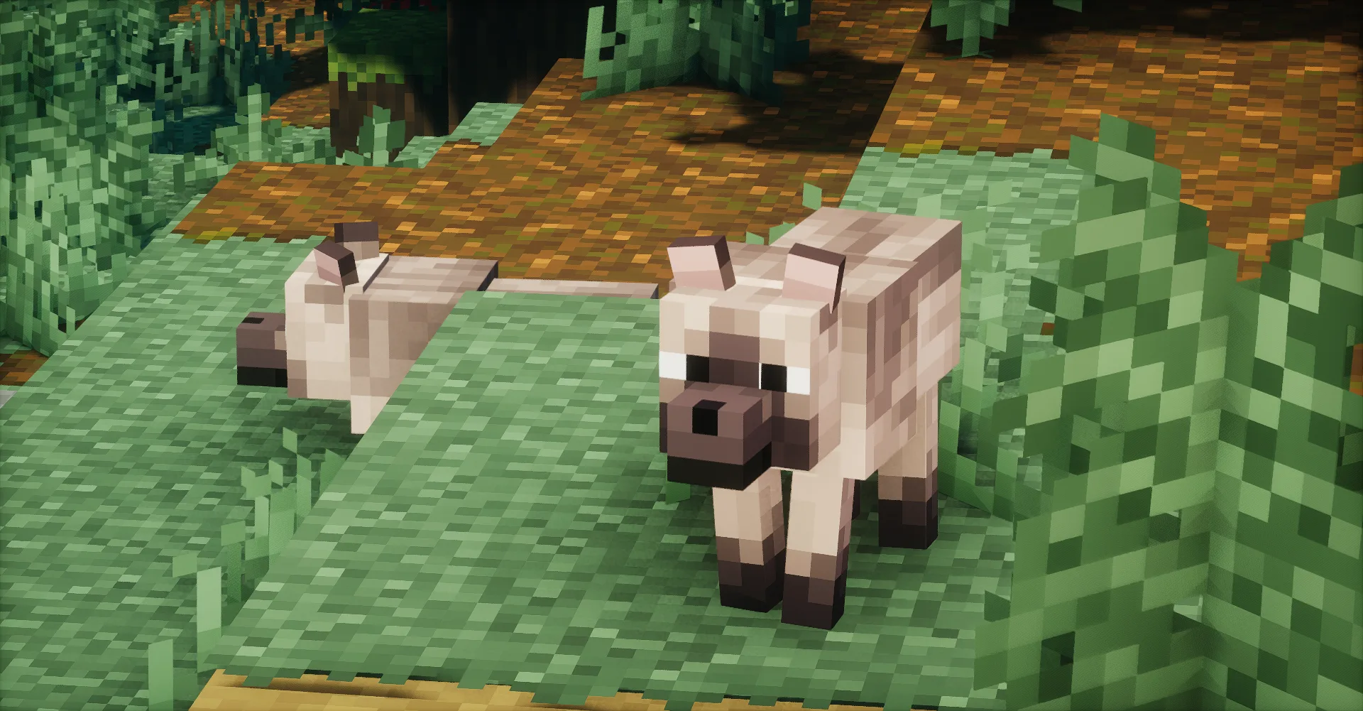 Fresh Wolves Variants