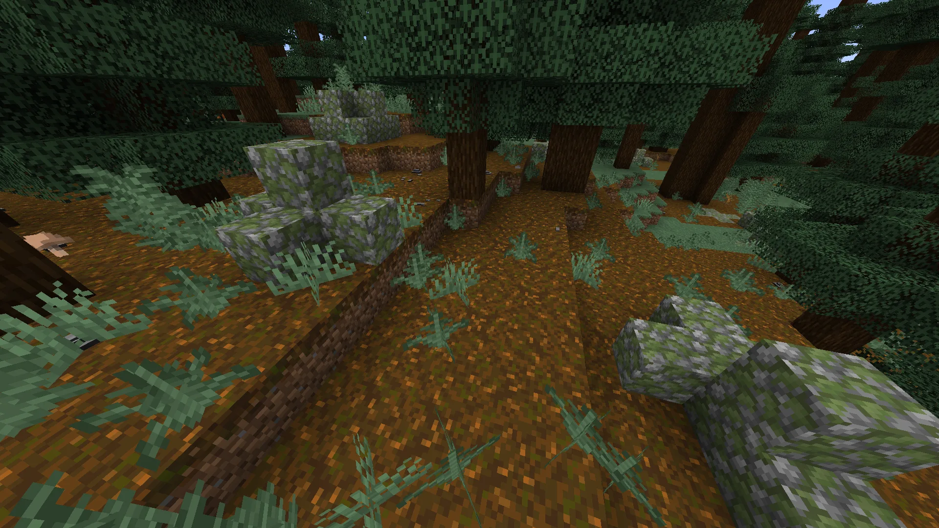 Grass Rocks+