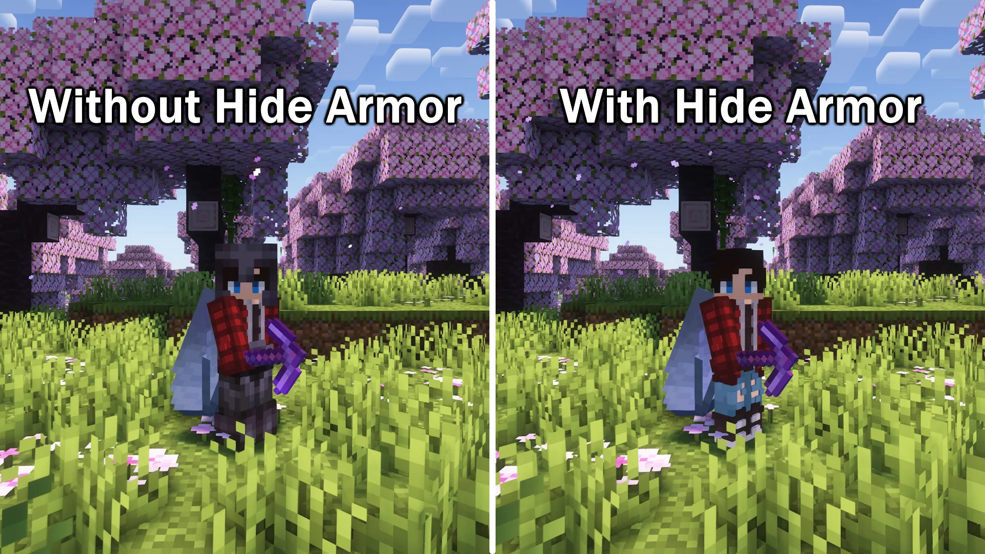 🛡️ Hide Armor - See Player Skins