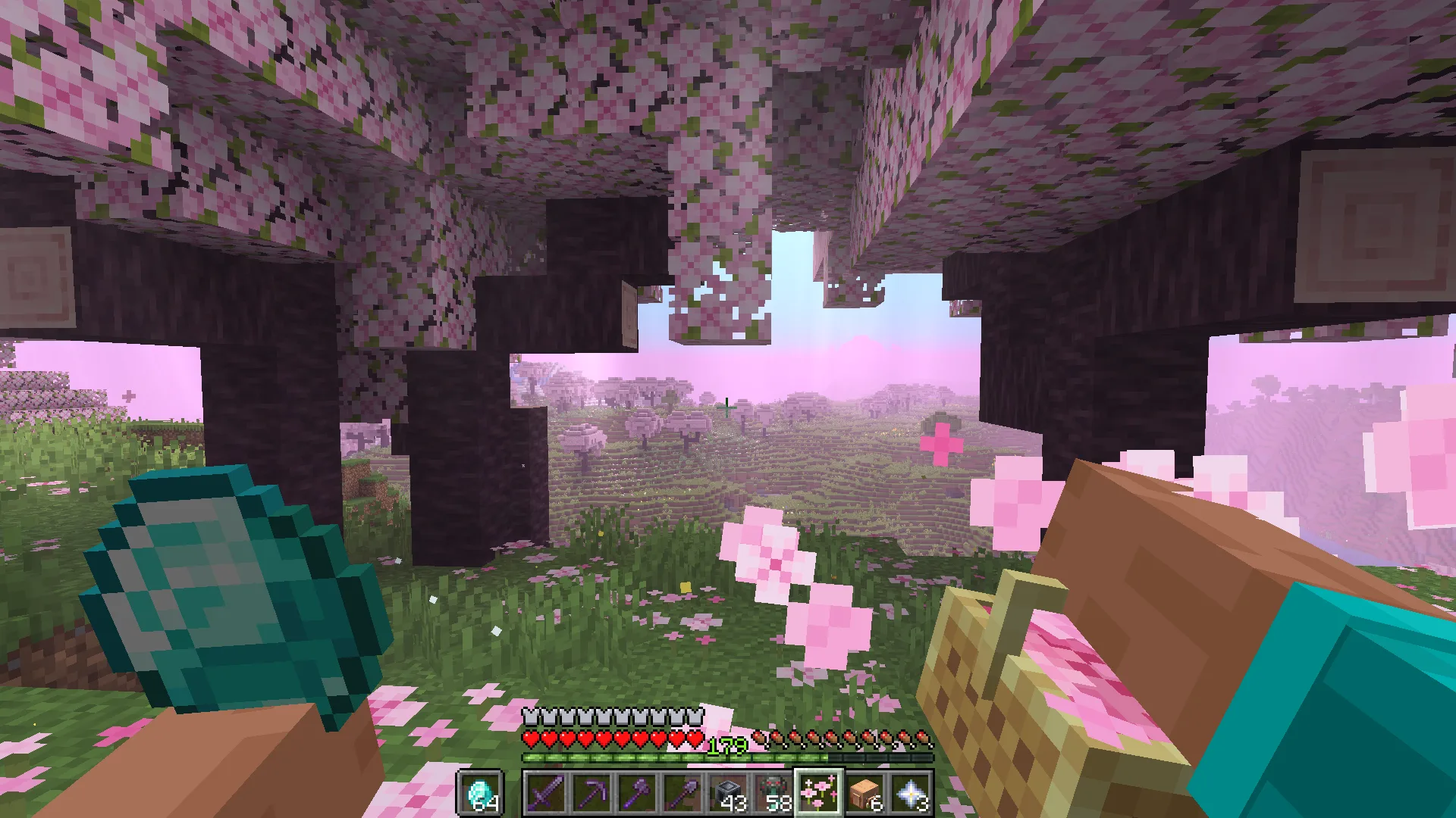 Изображение 2 мода Hold My Items