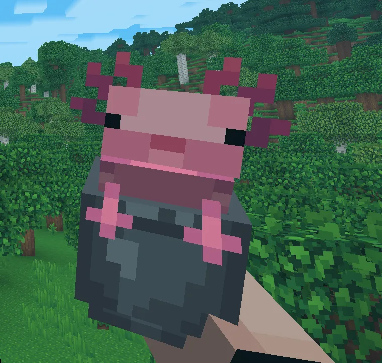 Whimscape x Hold My Items