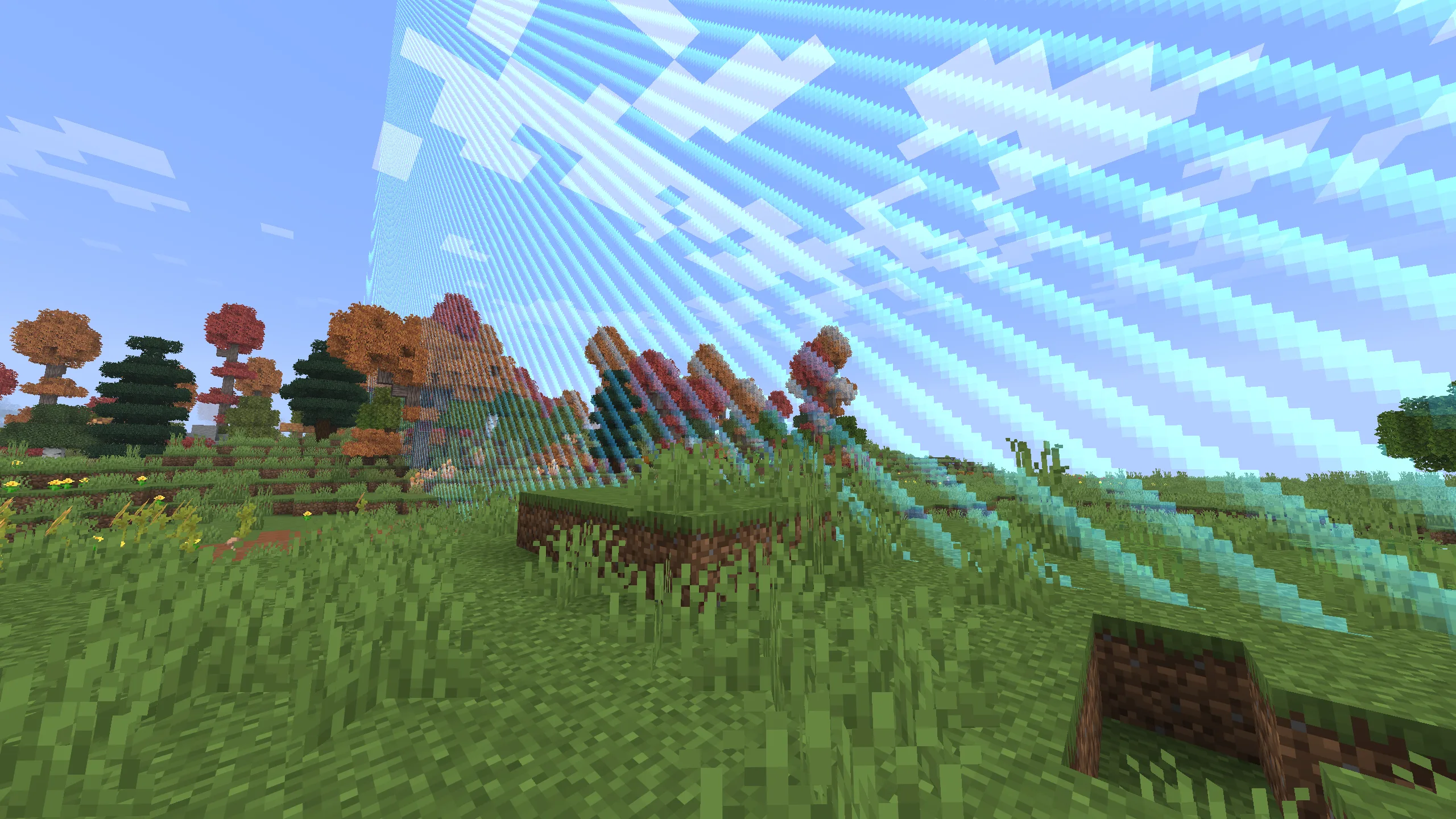 Изображение 4 ресурспака No World Border