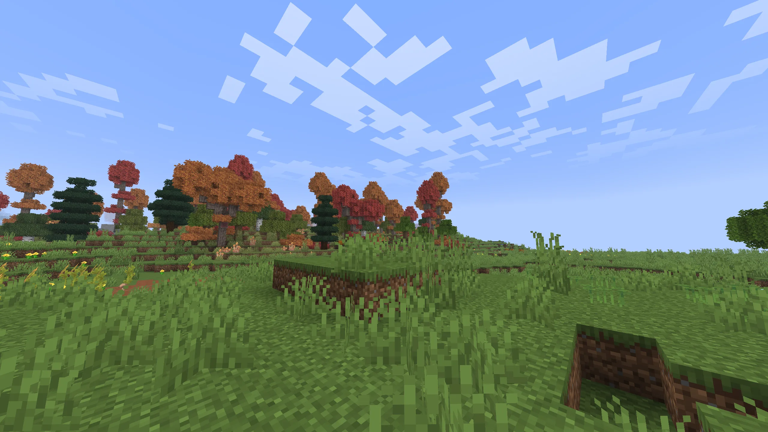 Изображение 5 ресурспака No World Border