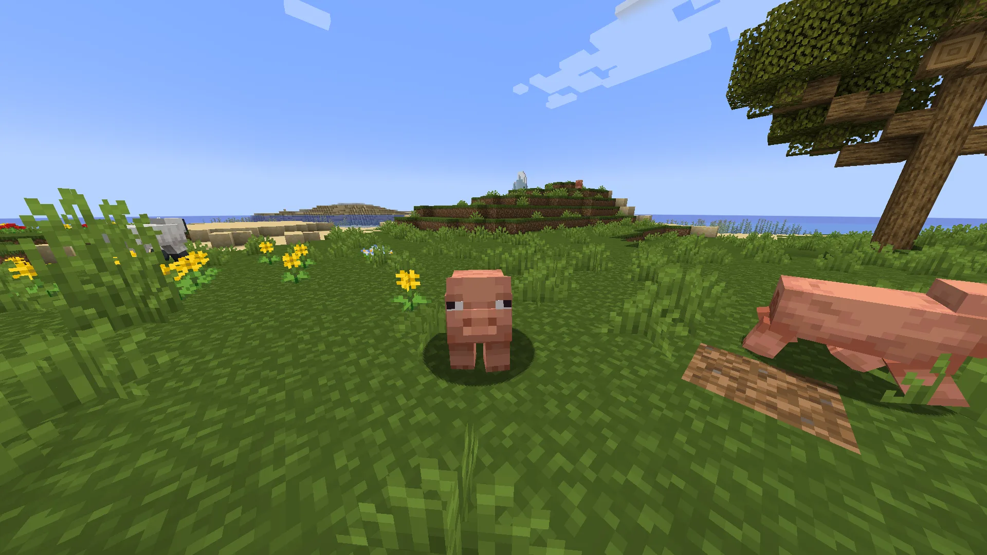 Jicklus x Fresh animations