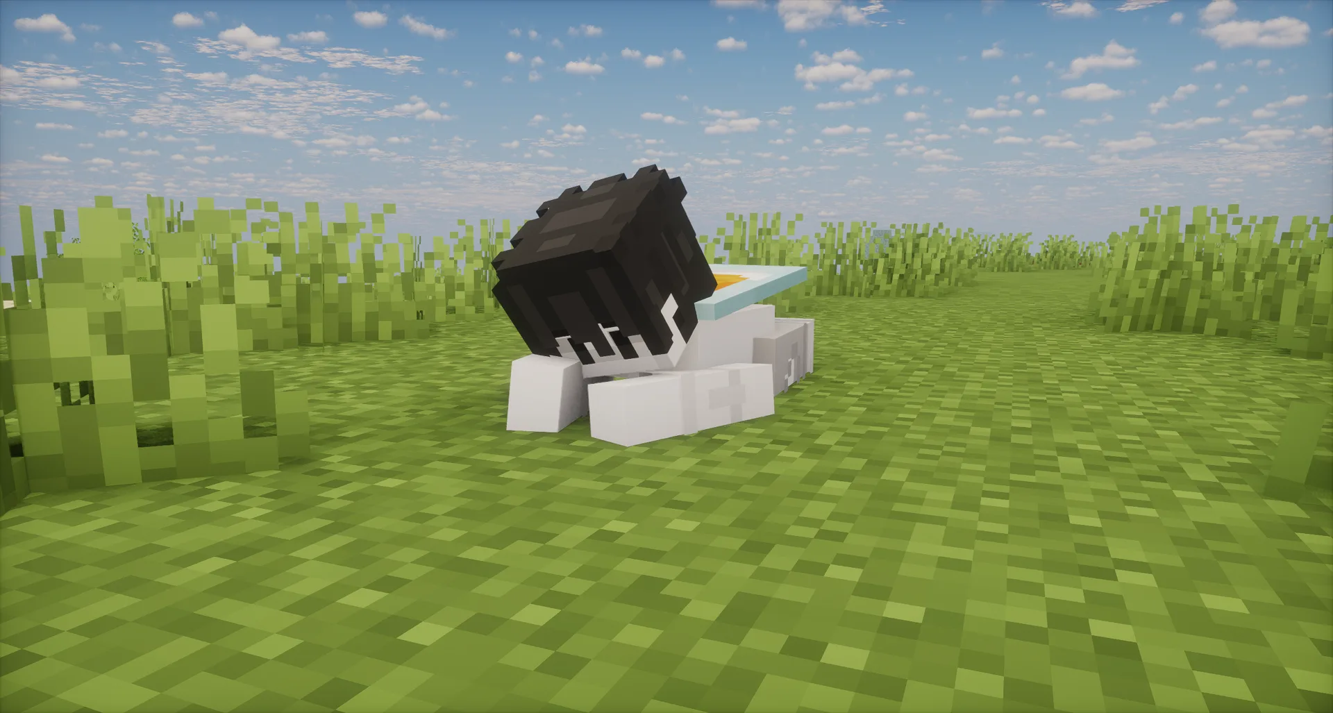 Изображение 1 ресурспака Joyful Motions