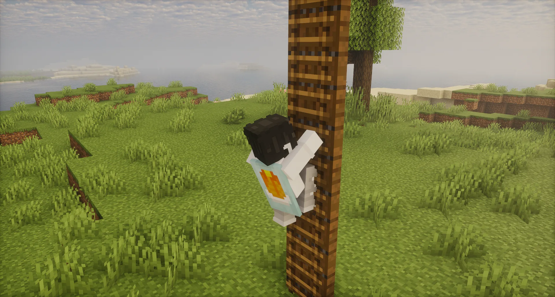 Изображение 2 ресурспака Joyful Motions