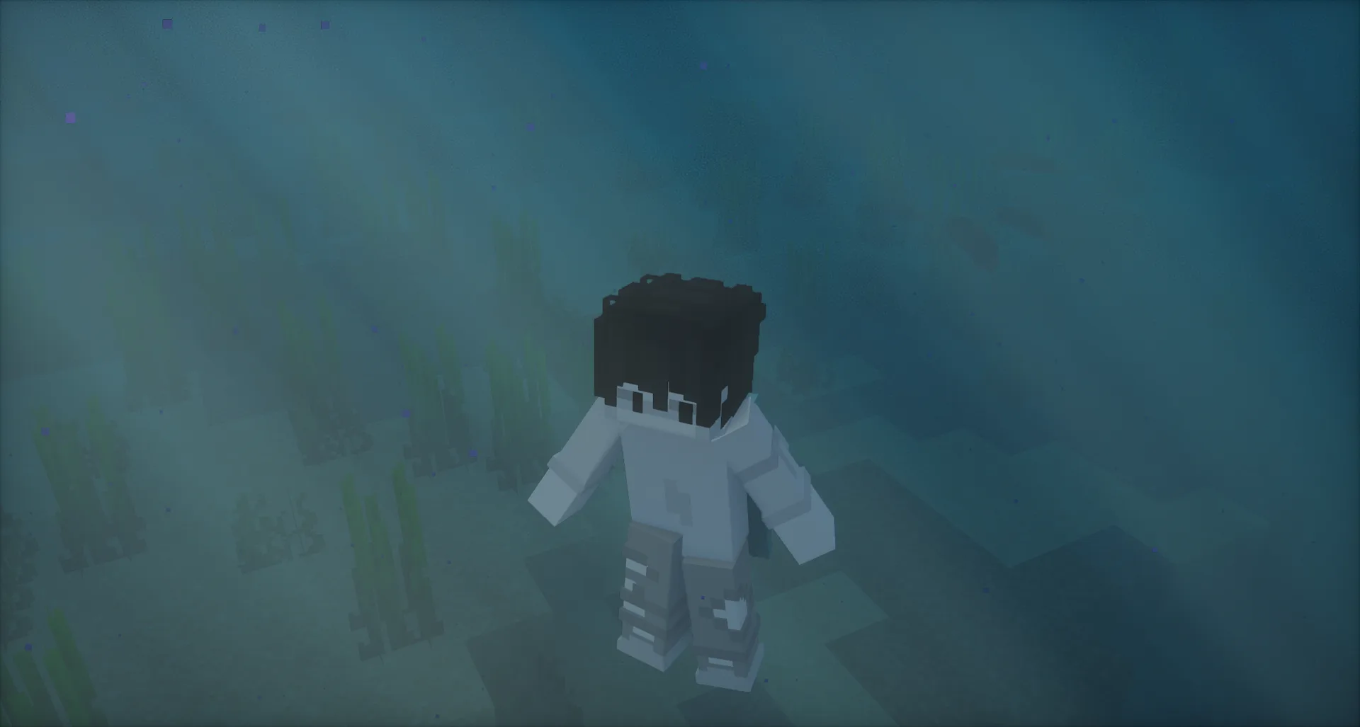 Изображение 3 ресурспака Joyful Motions