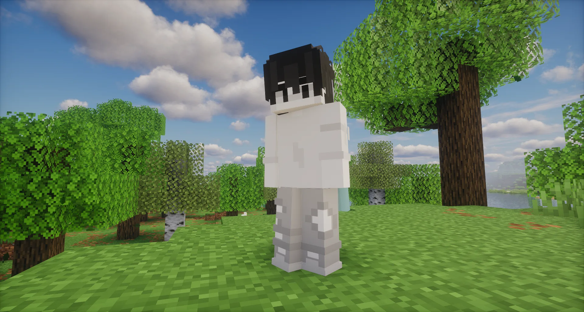 Изображение 5 ресурспака Joyful Motions