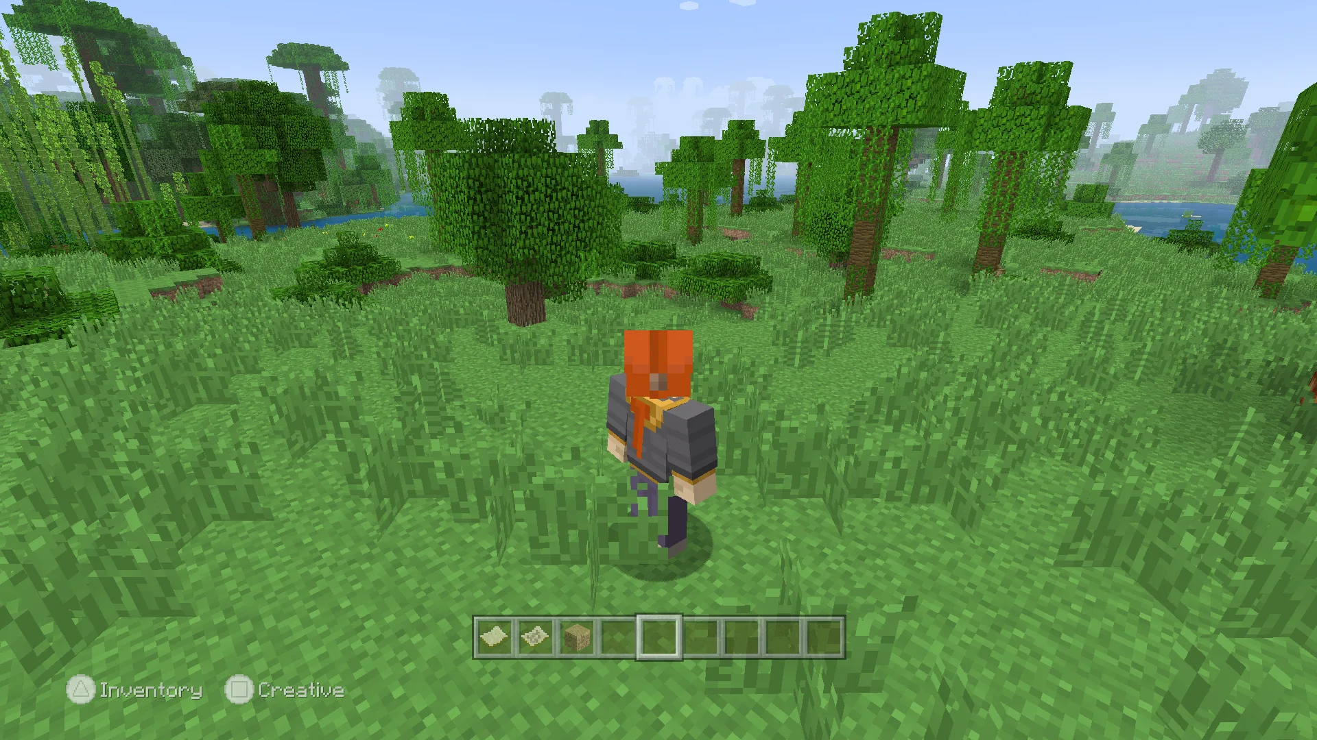 Изображение 5 ресурспака Legacy Skin Packs