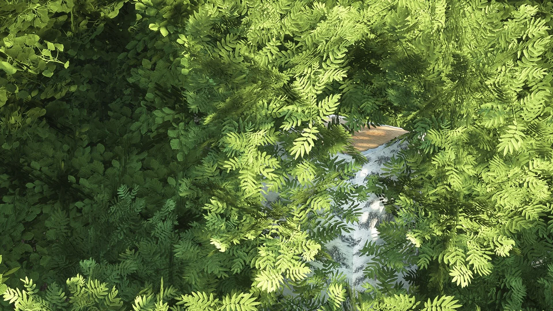 LEGENDARY RT JAVA TEXTURES