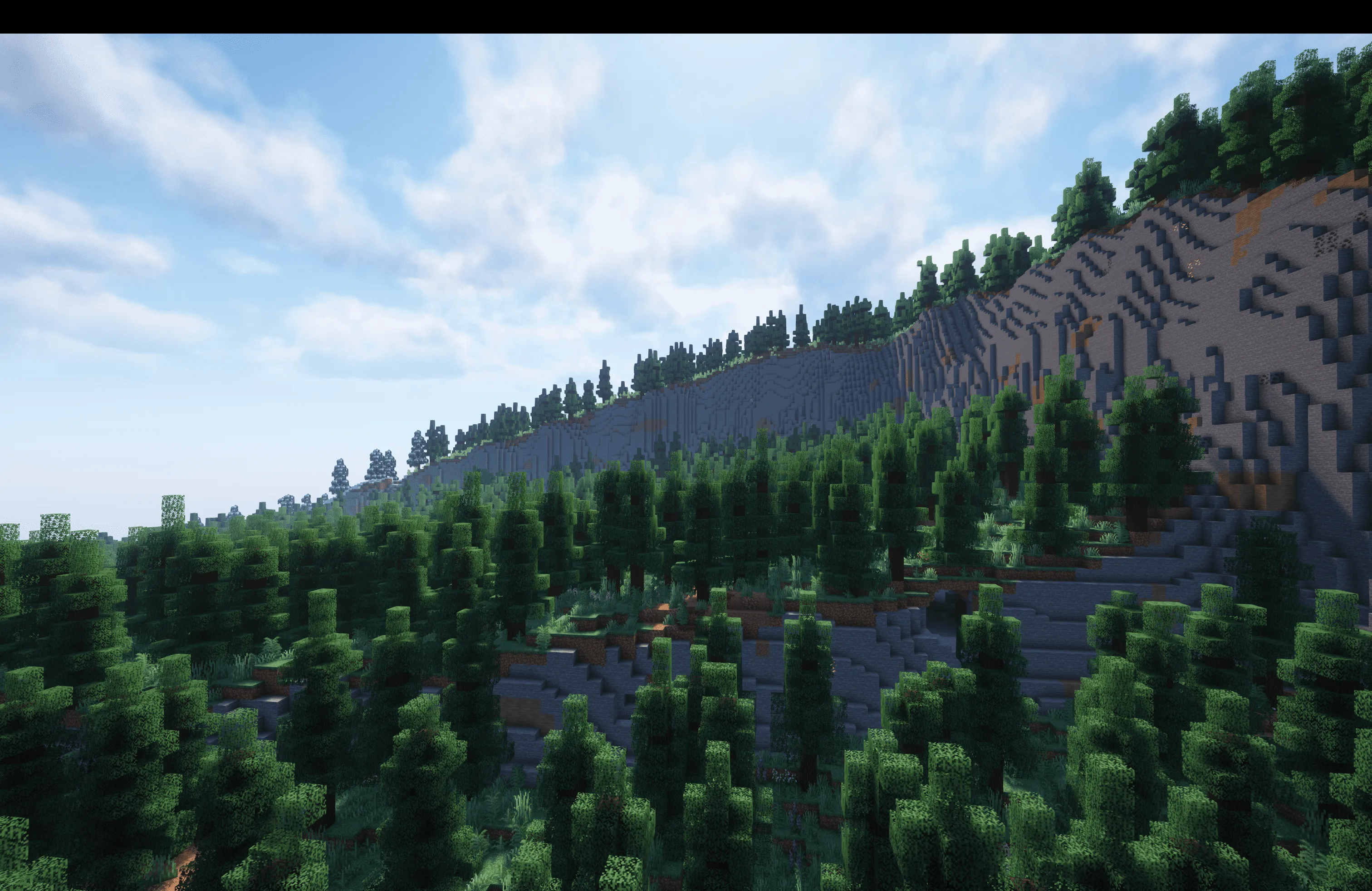 [Let's Do] BloomingNature