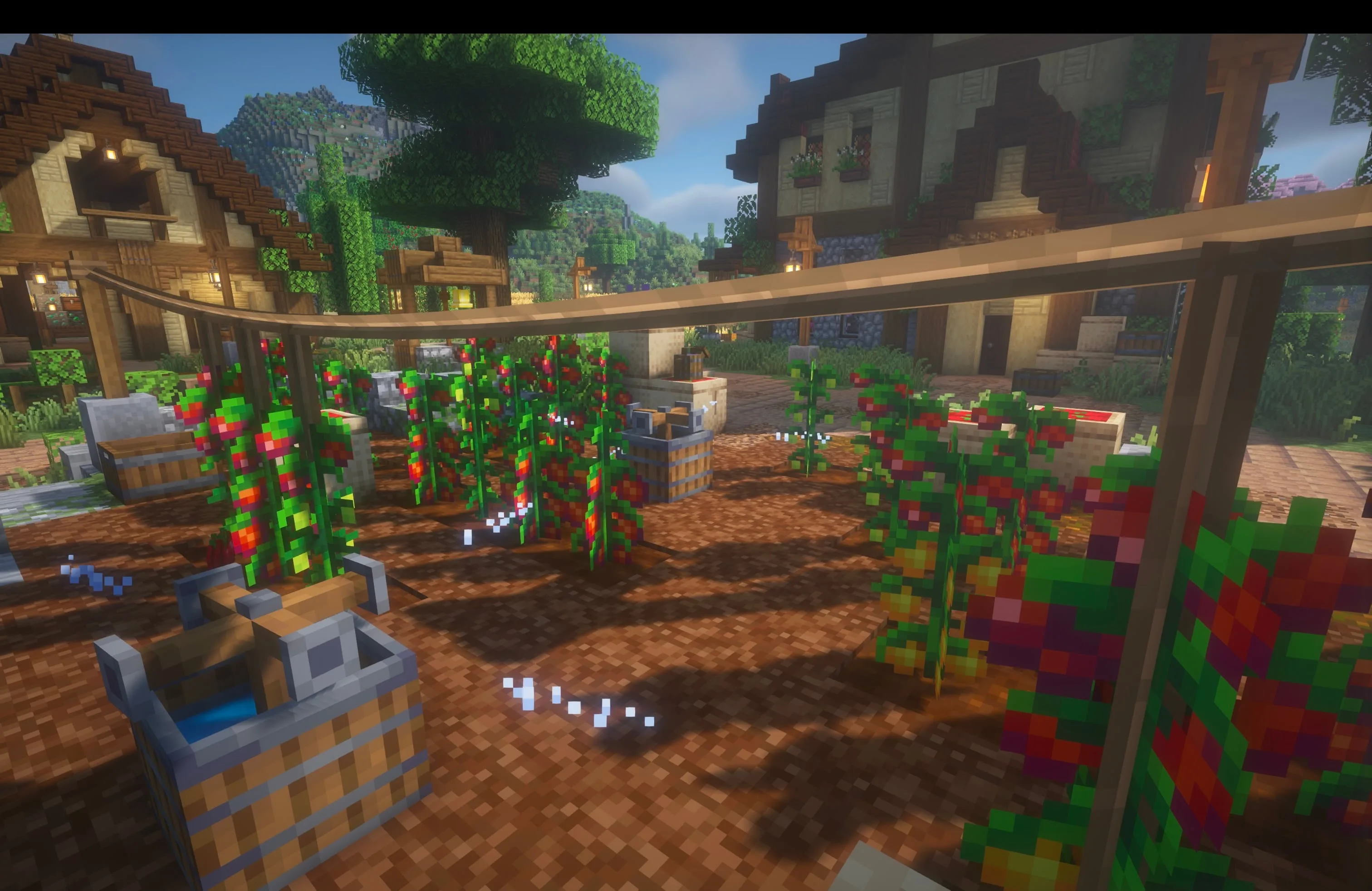 [Let's Do] Farm & Charm