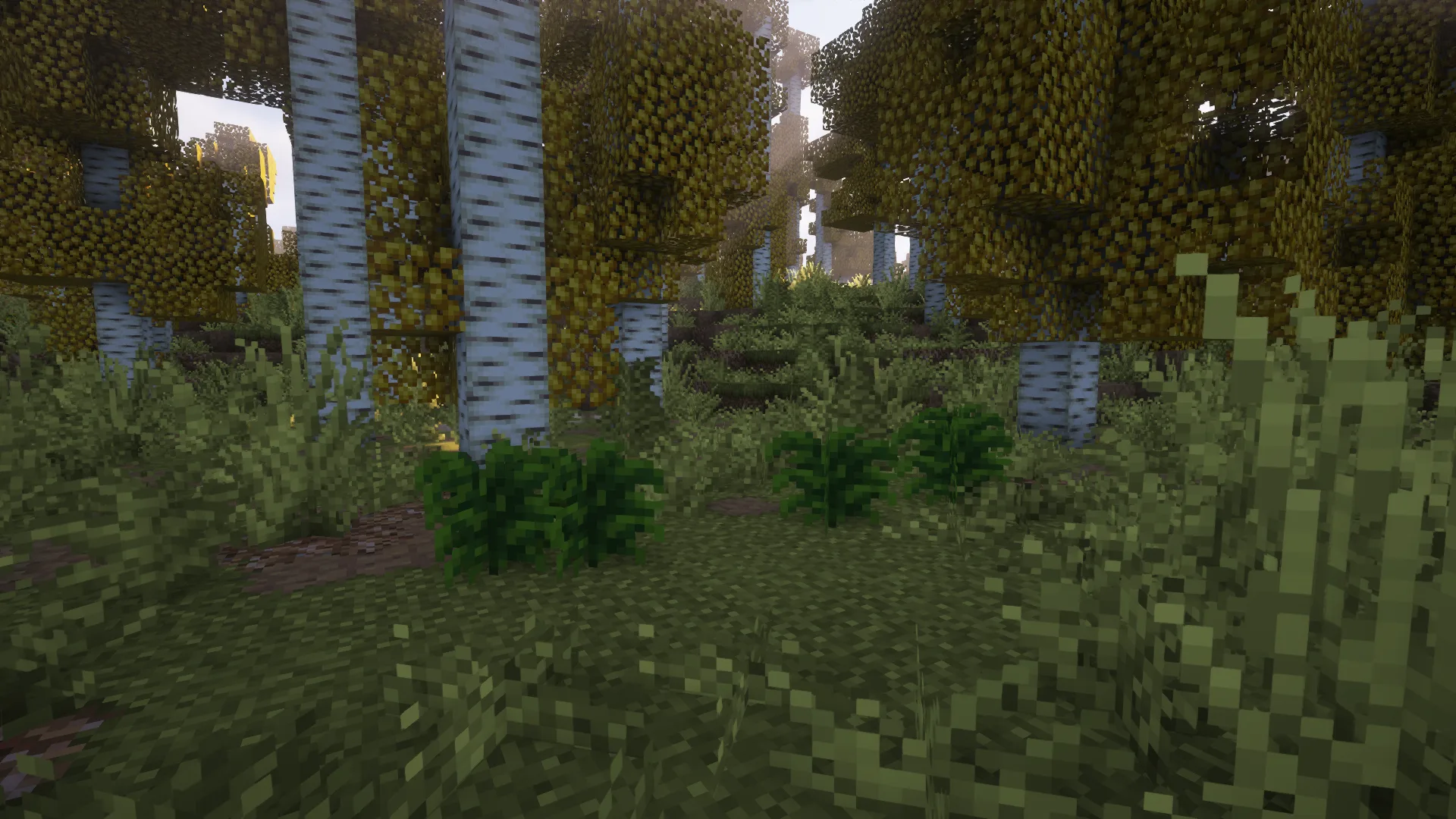 [Let's Do] HerbalBrews