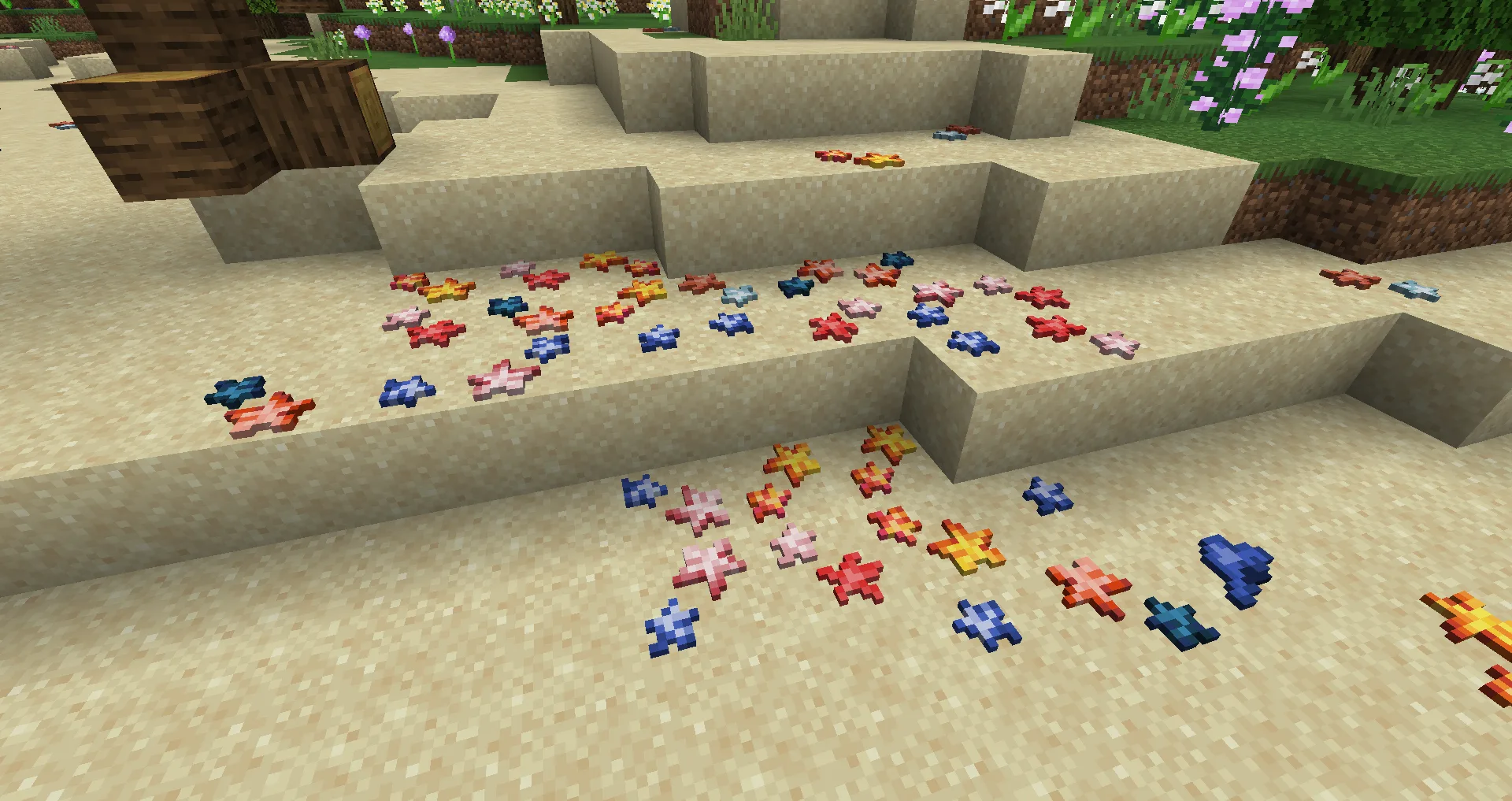 [Let's Do] Seashells